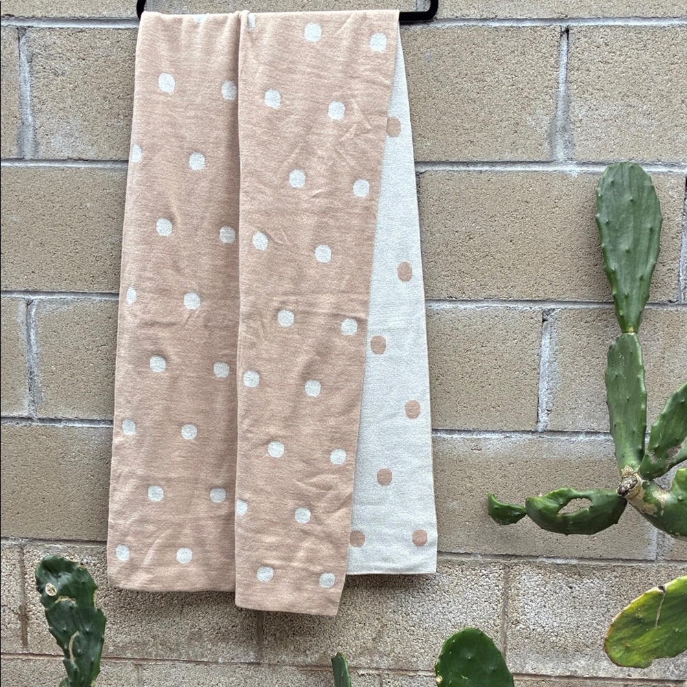 Banana Republic Light Brown & Metallic Knit Scarf